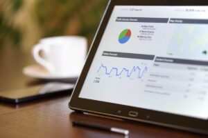 WEB ADVERTISING